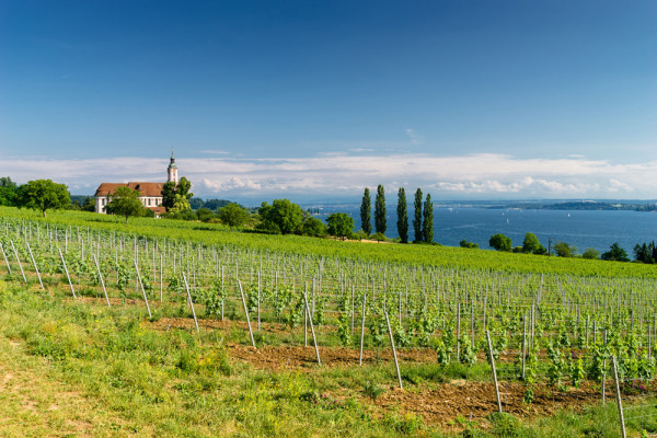 Akustikbild LANDSCHAFT aus Materialmix