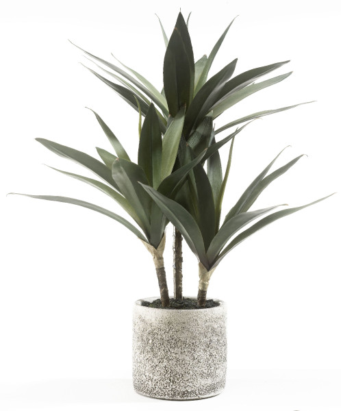 Kunstpflanze in grün