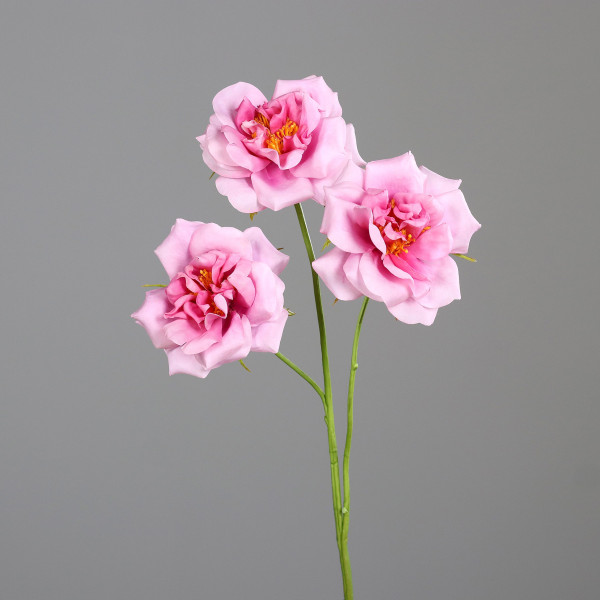 Kunstblume Rosenzweig