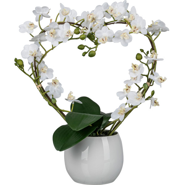 Kunstpflanze Phalaenopsis