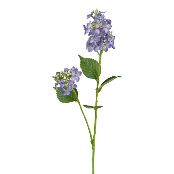Kunstblume Wildhortensie