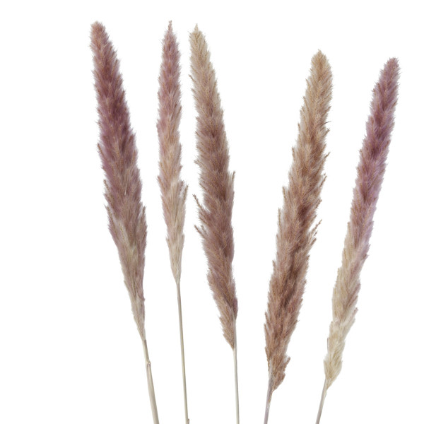 Kunstpflanzen-Set SCHILFROHR in natur aus 100 % Naturmaterial
