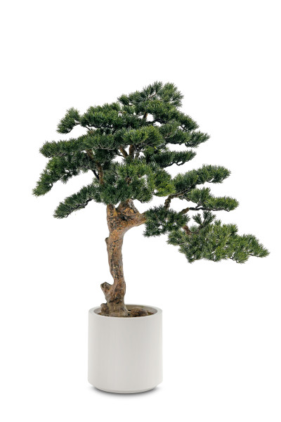 Kunstpflanze Kiefer-Bonsai in grün aus Kunststoff
