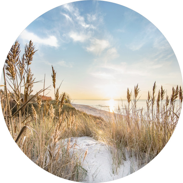 Glasbild WILDER STRAND III in mehrfarbig aus Glas