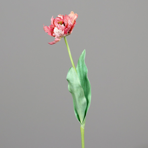 Kunstblume Tulpe