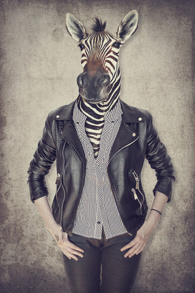 Akustikbild ZEBRA GENTLEMAN aus Materialmix