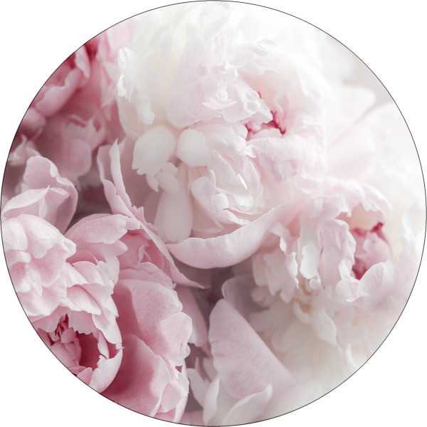 Glasbild PEONIES II