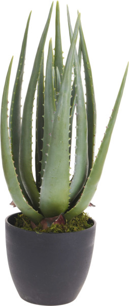 Kunstpflanze ALOE VERA