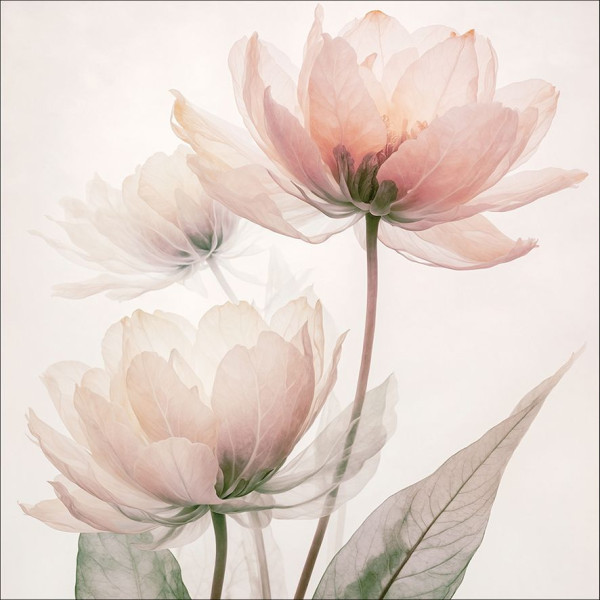 Aludibondbild FLOWERS XI in mehrfarbig aus Metall
