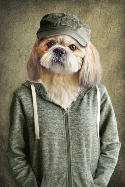 Akustikbild WITZIGER HUND aus Materialmix