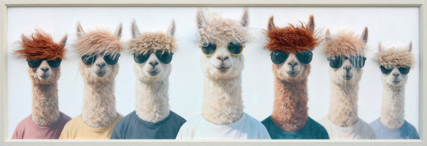 Leinwandbild BOYBAND THE LAMA in beige aus Holz