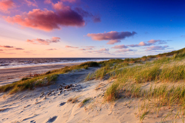 Akustikbild DÜNEN AM MEER 3 aus Materialmix