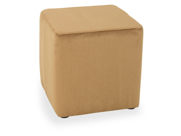 Hocker Guppy