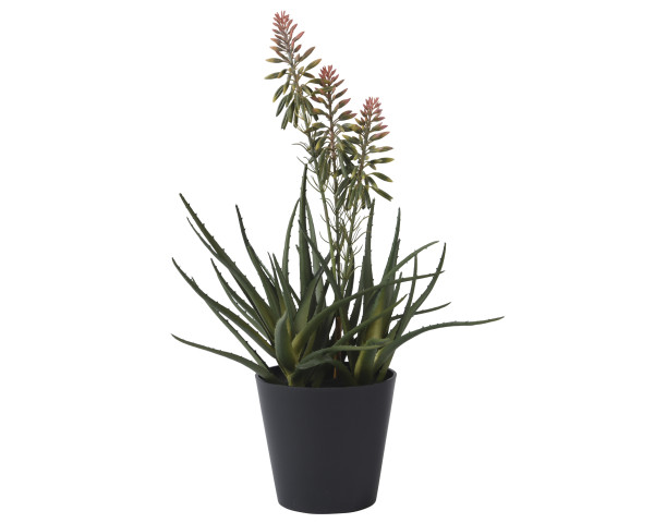 Kunstpflanze Aloe VERA