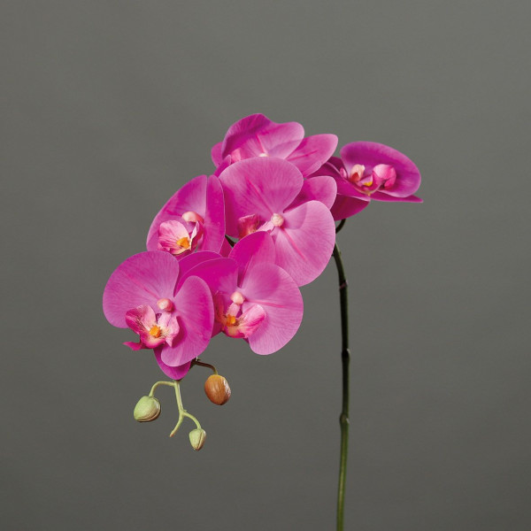 Kunstblume Orchidee
