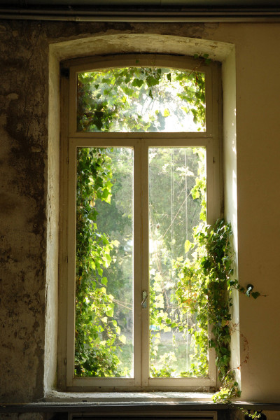 Akustikbild FENSTER BEWACHSEN aus Materialmix