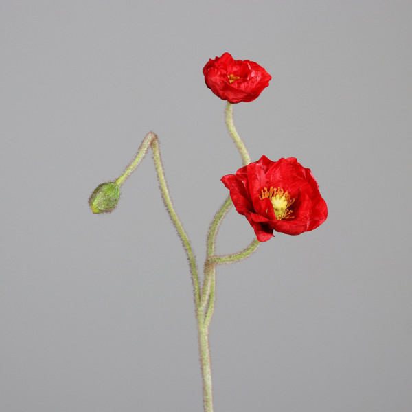 Kunstblume Mohn