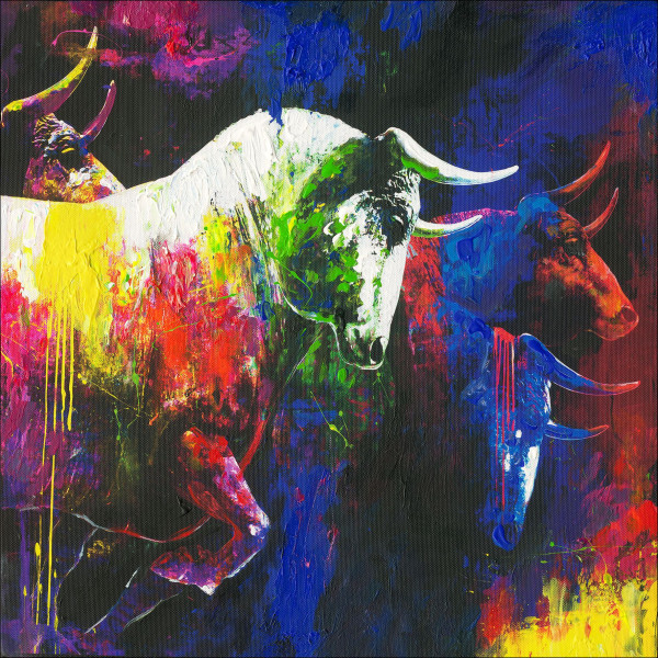 Originalbild COLOURFUL BULLS