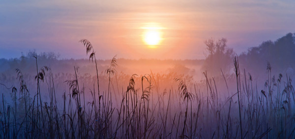 Akustikbild SONNENAUFGANG in mehrfarbig aus Materialmix