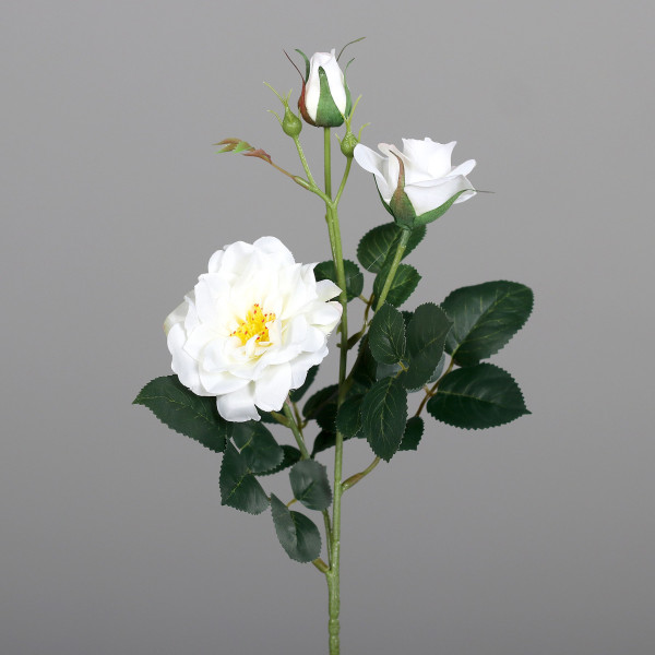 Kunstblume Rosenzweig