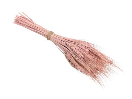 Bündel Weizengras pink