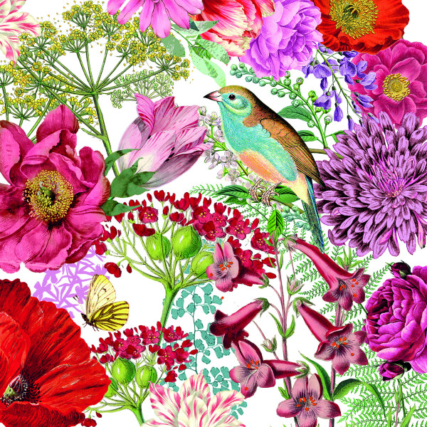 Servietten STEPHANIA in bunt aus Papier