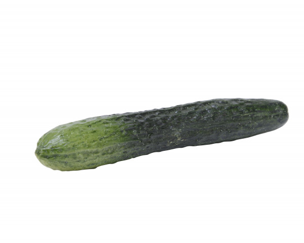 Gurke