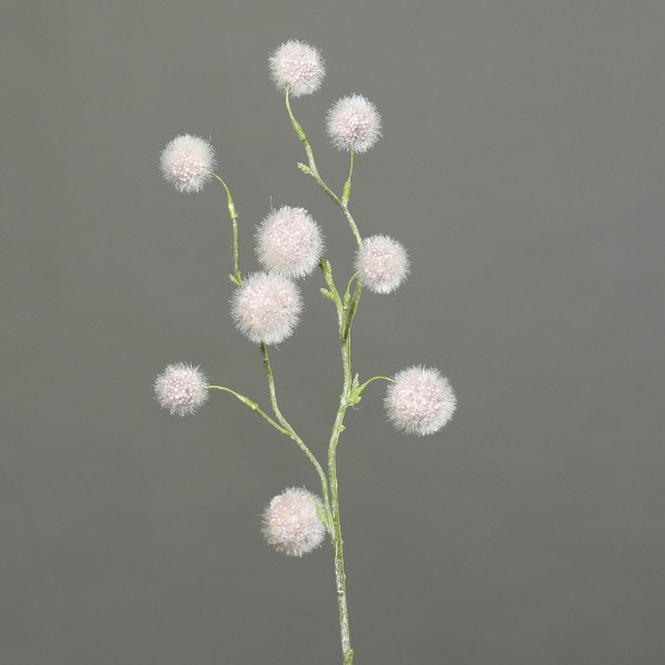 Kugelgras dusty pink