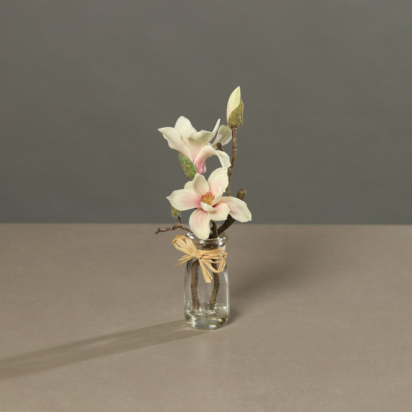 Magnolie im Glas creme