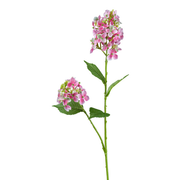 Kunstblume Wildhortensie