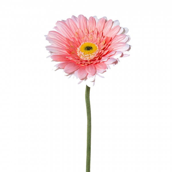 Kunstblume GERBERA