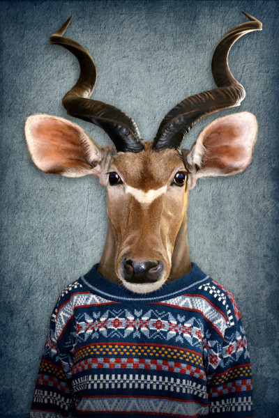 Akustikbild ANTILOPE MIT PULLI aus Materialmix