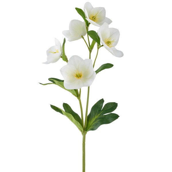 Kunstblume Christrose