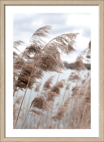 Gerahmtes Bild IN THE BREEZE