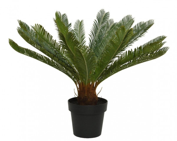 Kunstpflanze CYCAS