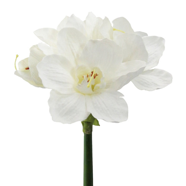 Kunstblume Amaryllis