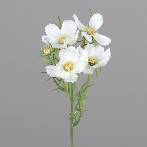 Kunstblume COSMEA