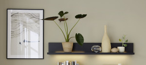 Wandboard MONDO ARTIST Wandboard MONDO ARTIST