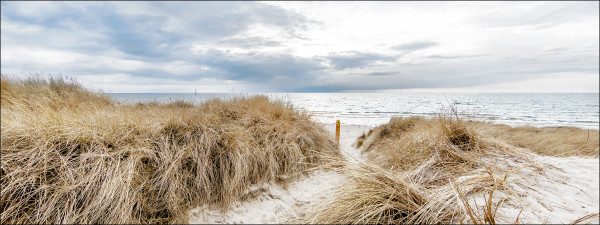 Glasbild OCEAN VIEW III