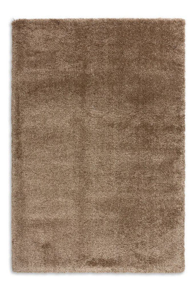 Teppich SCHÖNER WOHNEN LEVERAGE in beige aus Polypropylen