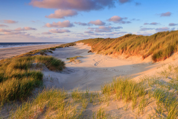 Akustikbild DÜNEN AM MEER 2 aus Materialmix