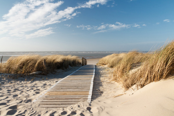 Akustikbild HOLZWEG ZUM MEER 1 aus Materialmix