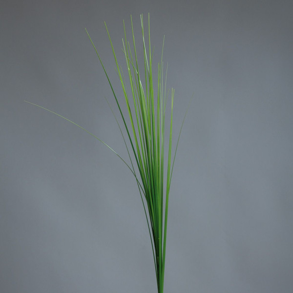 Kunstpflanze Isolepsis in grün aus Kunststoff