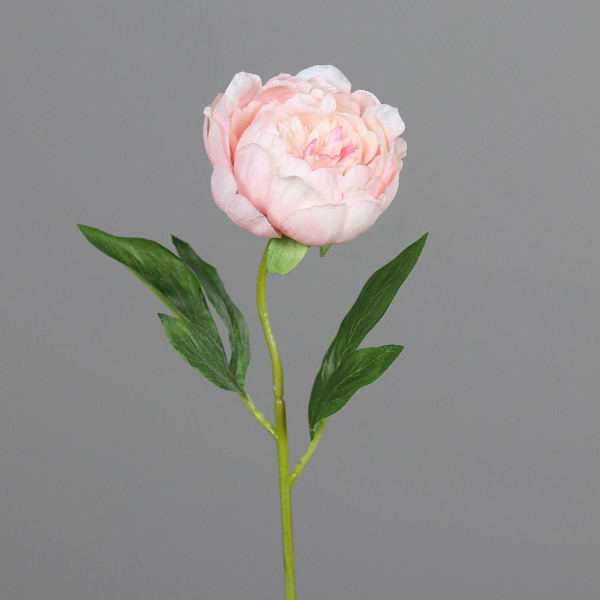 Kunstblume PÄONIE