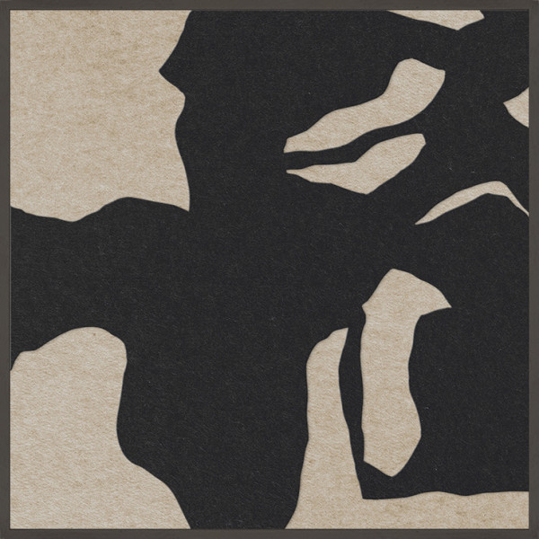 Akustikbild SILENT SHADOW 1