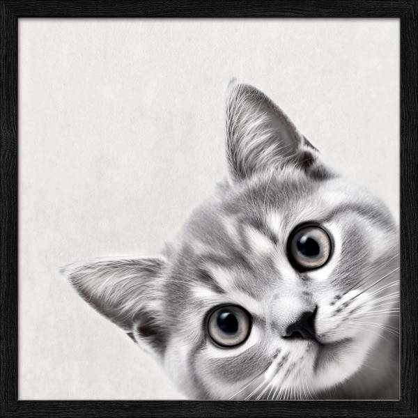 Gerahmtes Bild FUNNY CAT II in mehrfarbig aus Glas satiniert