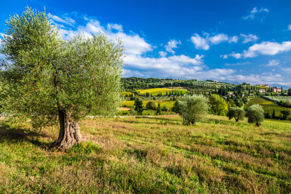 Akustikbild LANDSCHAFT aus Materialmix