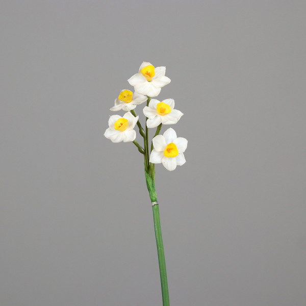 Kunstblume Narzisse