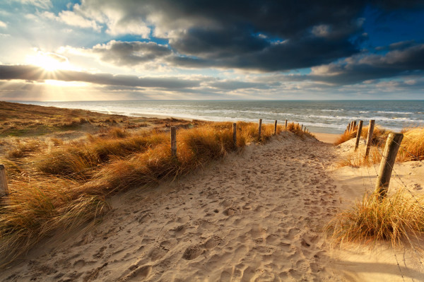 Akustikbild SANDWEG ZUM MEER 3 aus Materialmix