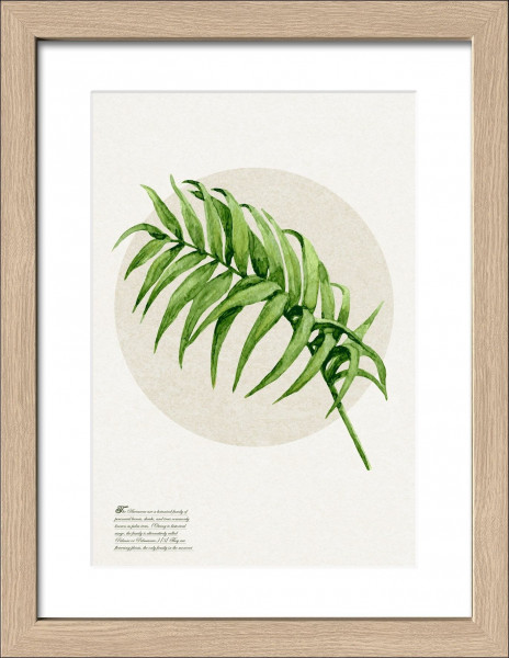Gerahmtes-Bild GREEN PLANT I